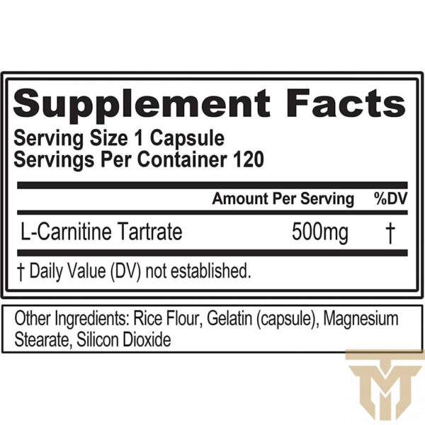 ال کارنیتین 500 ای وی الEvlution Nutrition L-Carnitine500